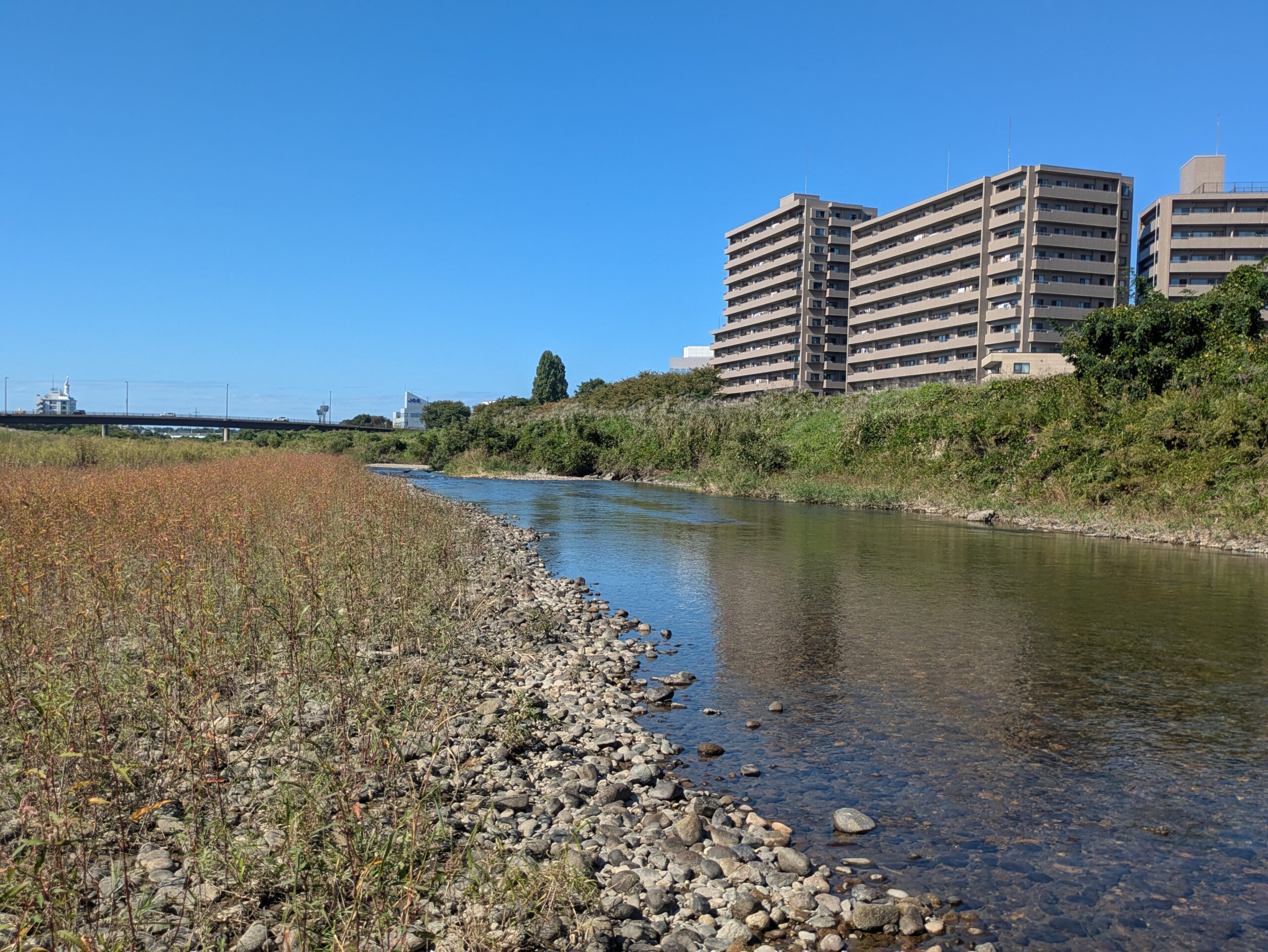 犀川の河川敷に流れる川と対岸の建物