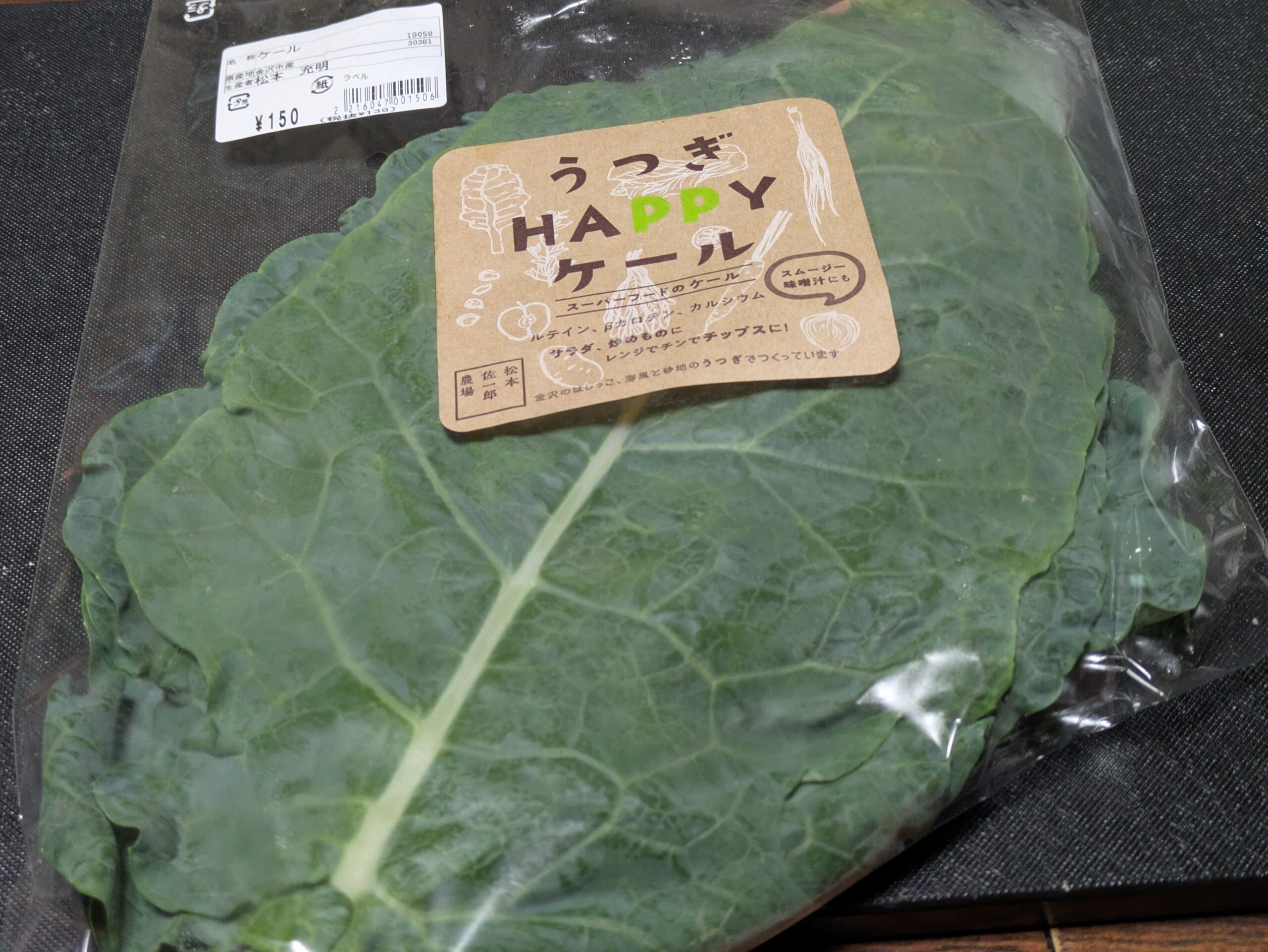 ほがらか村で購入したうつぎHAPPYケールの大きな葉