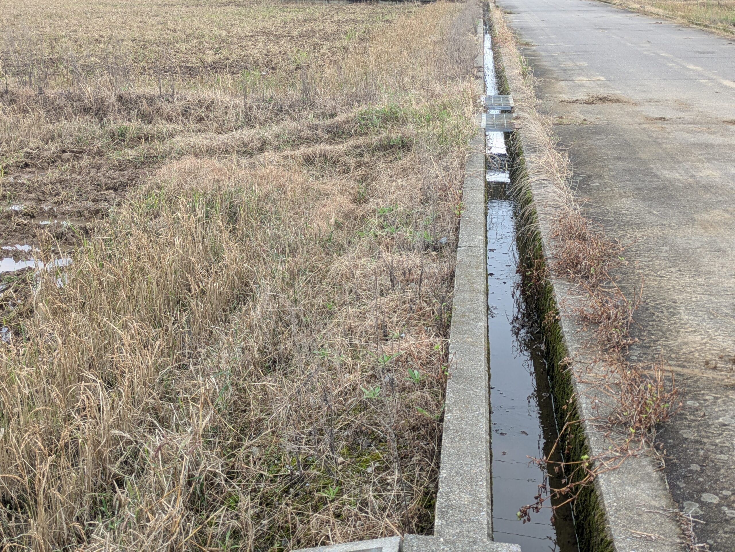 茶色く枯れた田んぼのあぜ道と水の流れる農業用水路