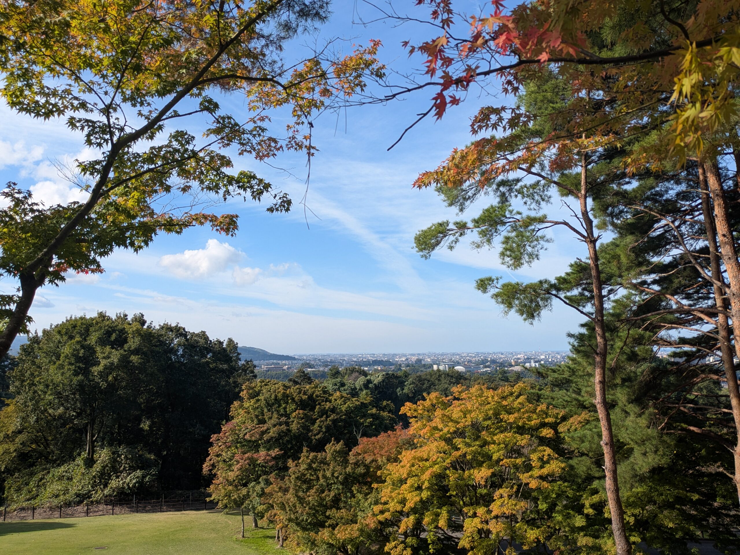 奥卯辰山健民公園の木々の間から見える金沢市街地と色づき始めた紅葉