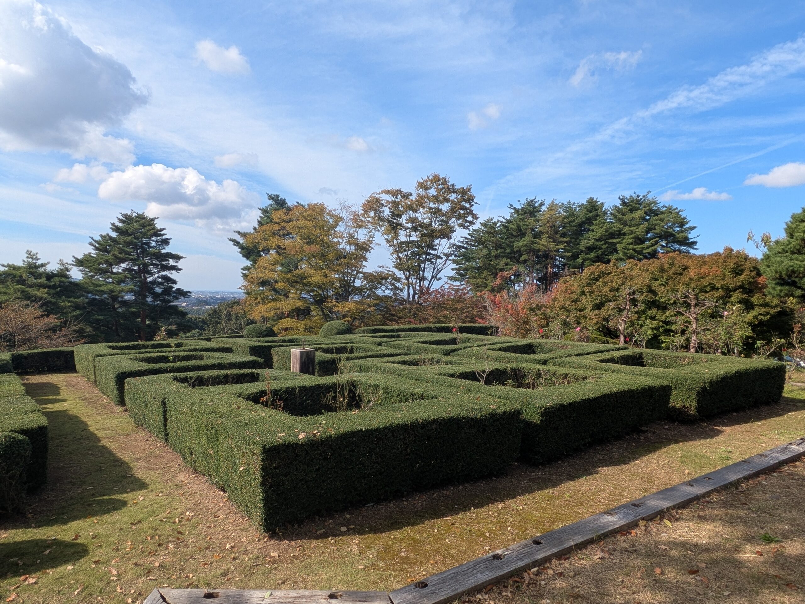 奥卯辰山健民公園の整えられた生け垣と秋の木々