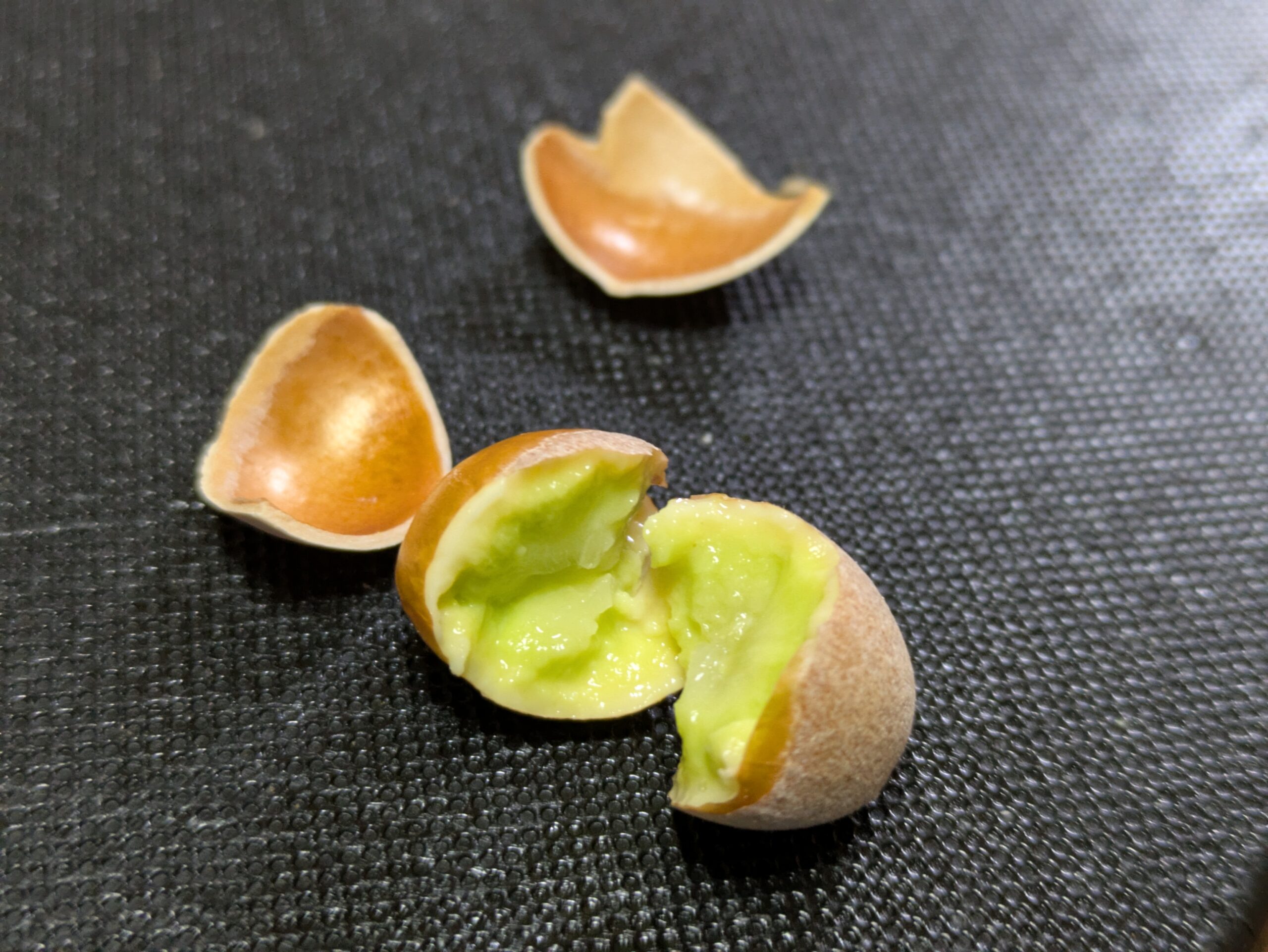銀杏の殻を割ったところ中身まで真っ二つになった様子