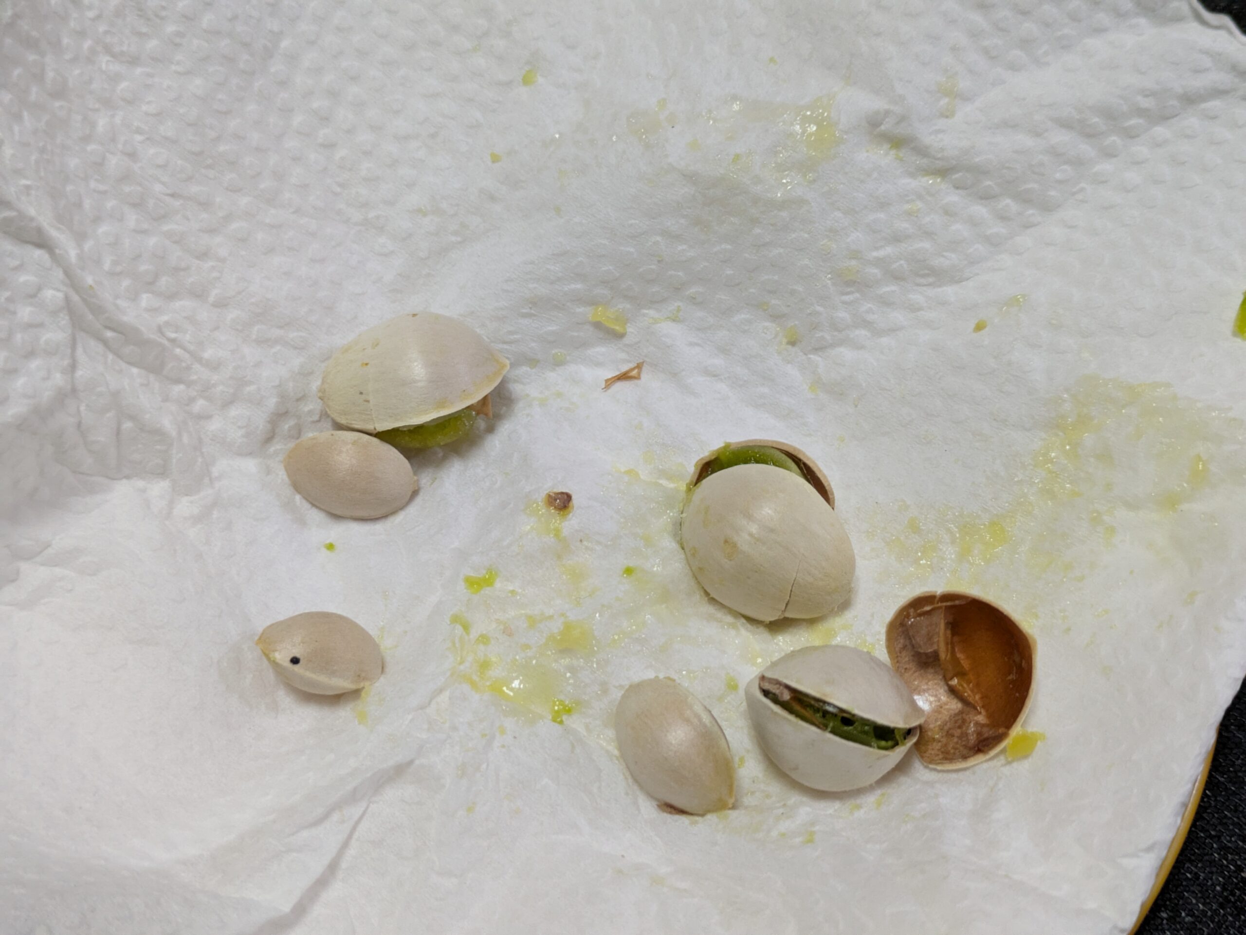 電子レンジ加熱中に銀杏が破裂して殻と中身が飛び散った様子