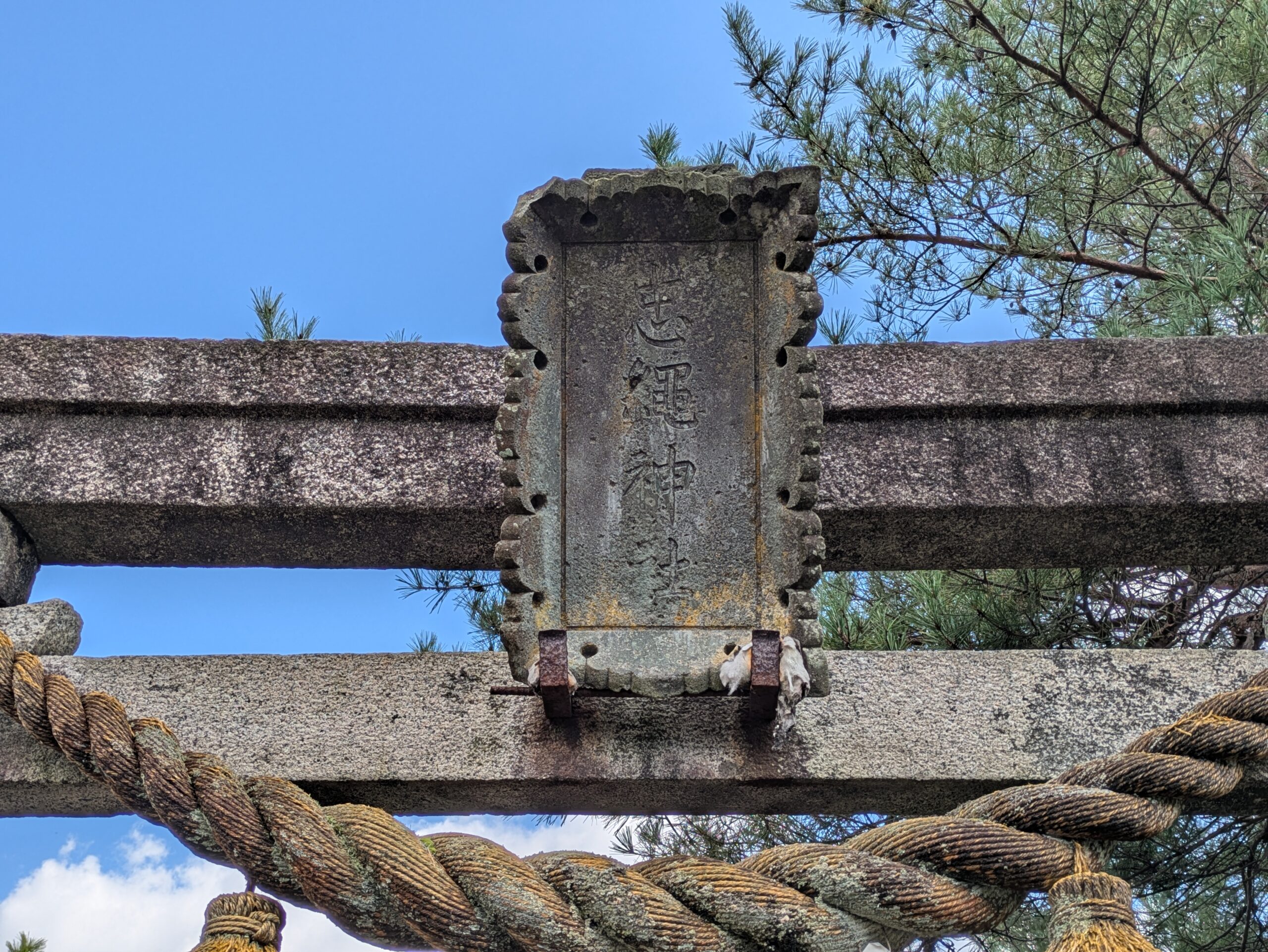 忠縄神社の鳥居に掲げられた忠縄神社と刻まれた石の扁額
