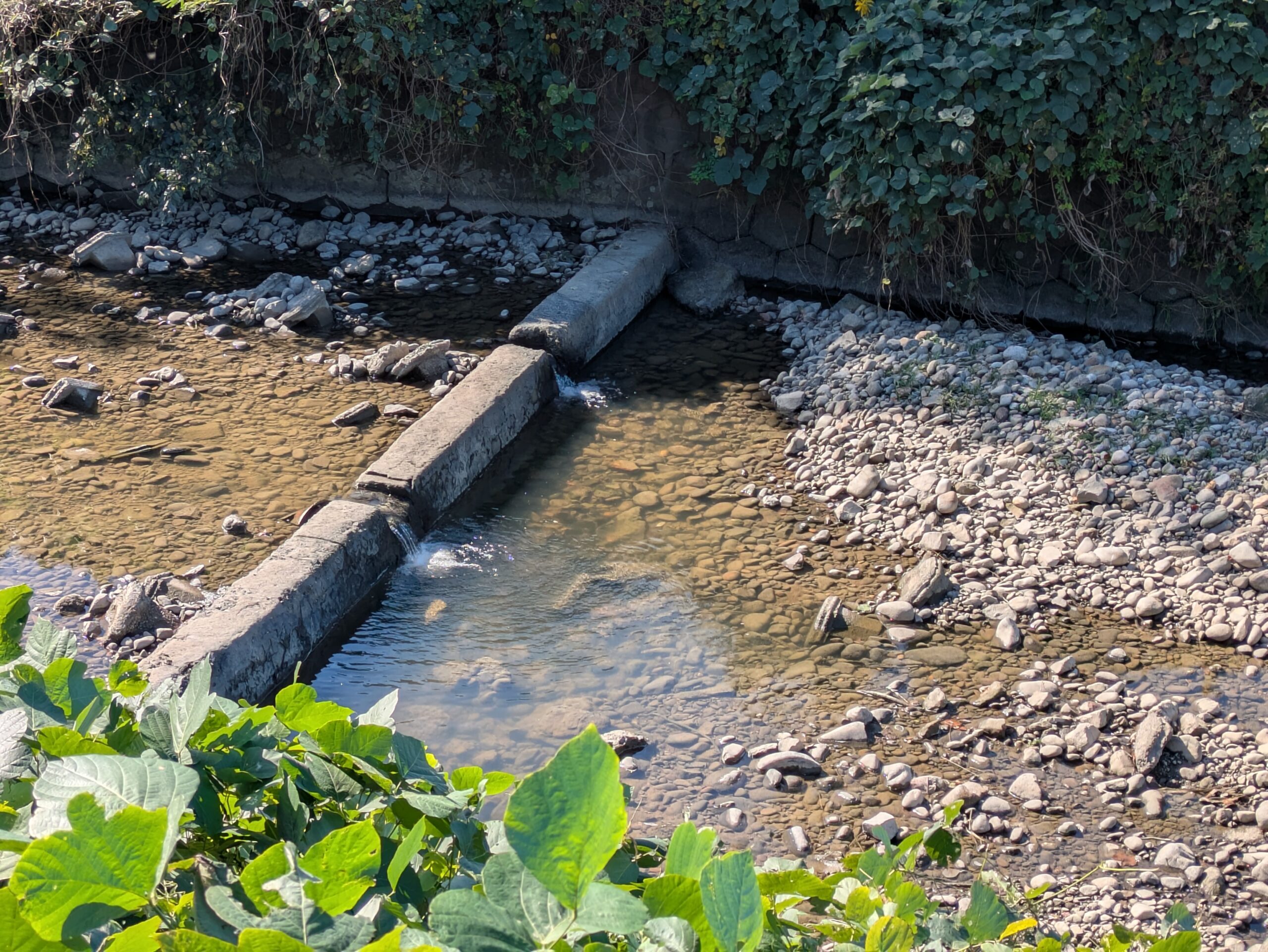 松任海浜公園付近の河口近く。水量は少な目