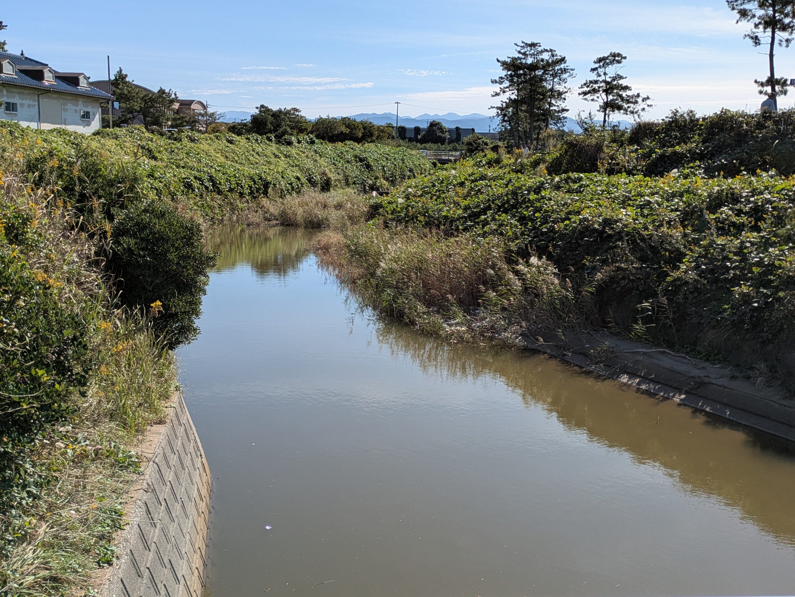 松任海浜公園付近の河口に広がる砂浜と水の流れ